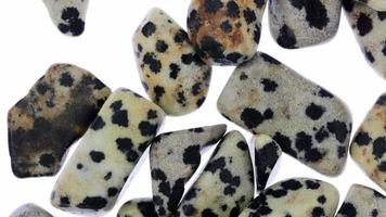 Dalmatian jasper heap up jewel stones texture on white light isolated background. Moving right seamless loop backdrop. video