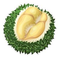icono de durian cremoso, estilo de dibujos animados vector