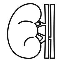 icono de riñón renal, estilo de contorno vector