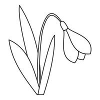 icono de flor de campana, estilo de esquema vector