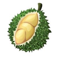 Fresh durian icon, cartoon style vector