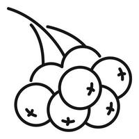 Rowan branch berries icon, outline style vector