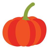 Pumpkin icon, flat style vector