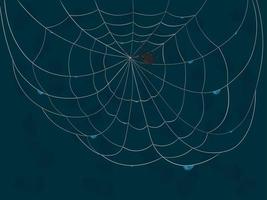 Spiderweb after rain with drops and black spider on dark teal background vector illustration