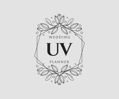 colección de logotipos de monograma de boda con letras iniciales uv, plantillas florales y minimalistas modernas dibujadas a mano para tarjetas de invitación, guardar la fecha, identidad elegante para restaurante, boutique, café en vector