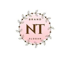 logotipo femenino inicial nt. utilizable para logotipos de naturaleza, salón, spa, cosmética y belleza. elemento de plantilla de diseño de logotipo de vector plano.