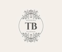 colección de logotipos de monogramas de boda con letras iniciales tb, plantillas florales y minimalistas modernas dibujadas a mano para tarjetas de invitación, guardar la fecha, identidad elegante para restaurante, boutique, café en vector