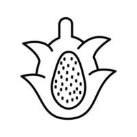 icono de vector de fruta de dragón