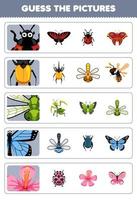 juego educativo para niños adivinar las imágenes correctas de dibujos animados lindo mariquita escarabajo libélula mariposa flor hoja de trabajo de error imprimible vector
