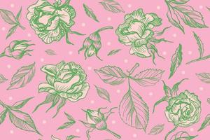 seamless pattern drawing light pink roses vector