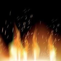 Realistic red-yellow fire on a dark background - Vector