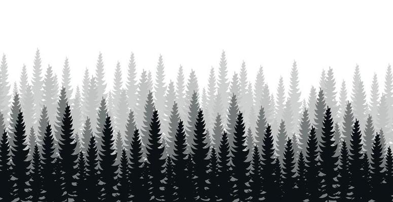 Panorama of dense forest, fir and pine natural green landscape, web background, template - Vector illustration