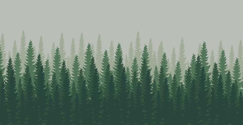 Panorama of dense forest, fir and pine natural green landscape, web background, template - Vector illustration