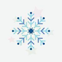 Modern colourful winter snowflake vector