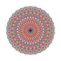 Colorful mandala with floral ornament vector