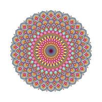 Colorful mandala with floral ornament vector