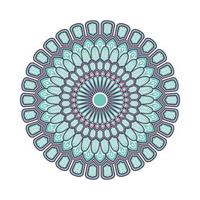 Colorful mandala with floral ornament vector