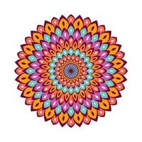 Colorful mandala with floral ornament vector