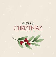 Christmas card with berries and sprigs of mistletoe, Merry Christmas greeting card. Mistletoe twigs with bow and text. vector