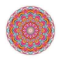 Colorful mandala with floral ornament vector