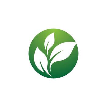 icono de vector de símbolo de hoja