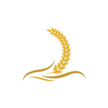 Wheat vector icon