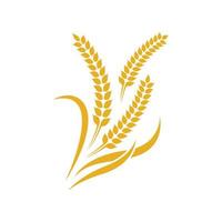 Wheat logo images vector