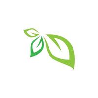 Leaf symbol vector icon