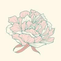 ilustración dibujada a mano de plantas y flores de belleza en estilo de arte de línea colorida para fondo, patrón floral, invitaciones e impresión de tela vector