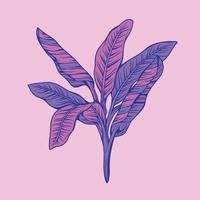 ilustración dibujada a mano de plantas y flores de belleza en estilo de arte de línea colorida para fondo, patrón floral, invitaciones e impresión de tela vector