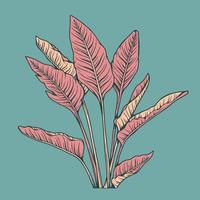 ilustración dibujada a mano de plantas y flores de belleza en estilo de arte de línea colorida para fondo, patrón floral, invitaciones e impresión de tela vector