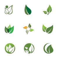 Green leaf illustration nature logo design vector