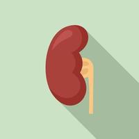 Anatomy kidney icon, flat style vector