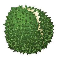 icono de durian maduro, estilo de dibujos animados vector