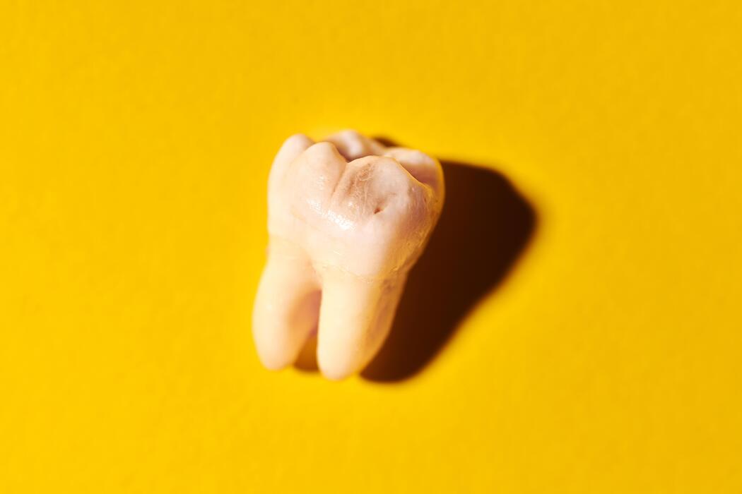 Gold Tooth Stock Photos, Images and Backgrounds for Free Download