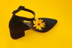 One suede black court shoe with yellow Topinambur flower bud inside toe, yellow background photo