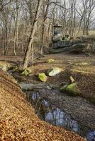 beautiful forest landscape in late autumn, winter photo