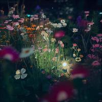 Field of blooming flowers in an enchanted garden with fairy lights photo