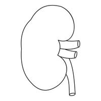 Kidney icon, outline style vector