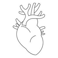 Heart icon, outline style vector