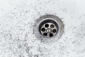 Dirty wash hand basin showing grungy drain with bits of hair photo