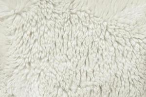 Background from white soft long-haired fur. Pattern for design. Graphic element photo