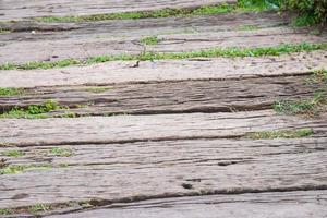 Brown wood texture and background with grass photo