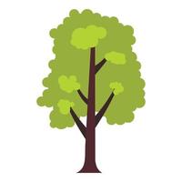 Big green tree icon, flat style vector