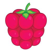 Raspberry icon, cartoon style vector