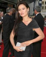 Tia Carrera American Film Institute Honors Sean Connery Hollywood and Highland Los Angeles, CA June 8, 2006 photo