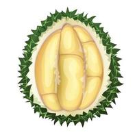 icono de durian de vista superior, estilo de dibujos animados vector