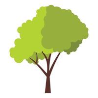 árbol verde con icono de corona esponjosa, estilo plano vector