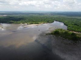 Aerial top view background forest, Texture of mangrove forest. photo