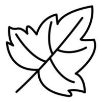 Dry Leaves Line Icon vector